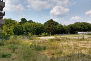 Stara Rzeźnia - Wzgórze Św. Wojciecha - park  Foto: 