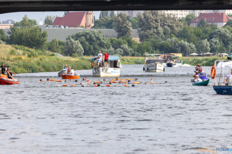 VII Sztafeta pływacka "Płyniemy dla Chojraków"  Foto: lepszyPOZNAN.PL/Piotr Rychter