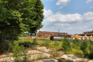 Stara Rzeźnia - Wzgórze Św. Wojciecha - park  Foto: 