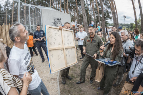 "Naturalne historie.Tygrysy" Nowe ZOO 04.07.21  Foto: lepszyPOZNAN.pl/Ewelina Jaśkowiak