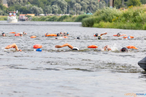 VII Sztafeta pływacka "Płyniemy dla Chojraków"  Foto: lepszyPOZNAN.PL/Piotr Rychter