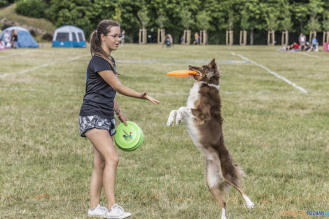 Latające Psy  Foto: lepszyPOZNAN.pl/Ewelina Jaśkowiak