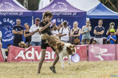 Latające Psy  Foto: lepszyPOZNAN.pl/Ewelina Jaśkowiak