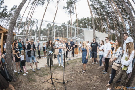 "Naturalne historie.Tygrysy" Nowe ZOO 04.07.21  Foto: lepszyPOZNAN.pl/Ewelina Jaśkowiak