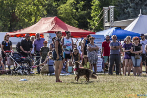 Latające Psy  Foto: lepszyPOZNAN.pl/Ewelina Jaśkowiak