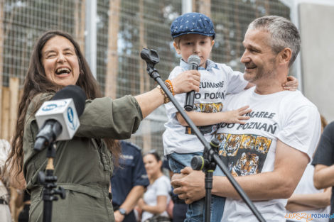 "Naturalne historie.Tygrysy" Nowe ZOO 04.07.21  Foto: lepszyPOZNAN.pl/Ewelina Jaśkowiak