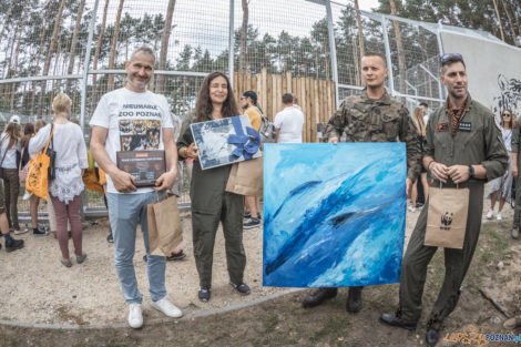 "Naturalne historie.Tygrysy" Nowe ZOO 04.07.21  Foto: lepszyPOZNAN.pl/Ewelina Jaśkowiak