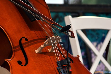 Koncert Sołacki nad Rusałką - Kilka czułości  Foto: Kasia Lonowska