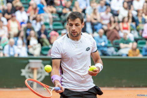 Poznań Open 2021 -  finał singla Bernabe Zapata Miralles (ESP)  Foto: lepszyPOZNAN.PL/Piotr Rychter