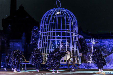 „Zapach czasu” Teatr KTO (Kraków)  Foto: lepszyPOZNAN.pl/Ewelina Jaśkowiak