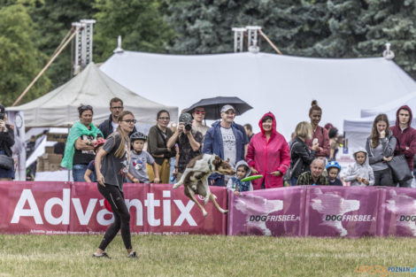 Latające Psy  Foto: lepszyPOZNAN.pl/Ewelina Jaśkowiak