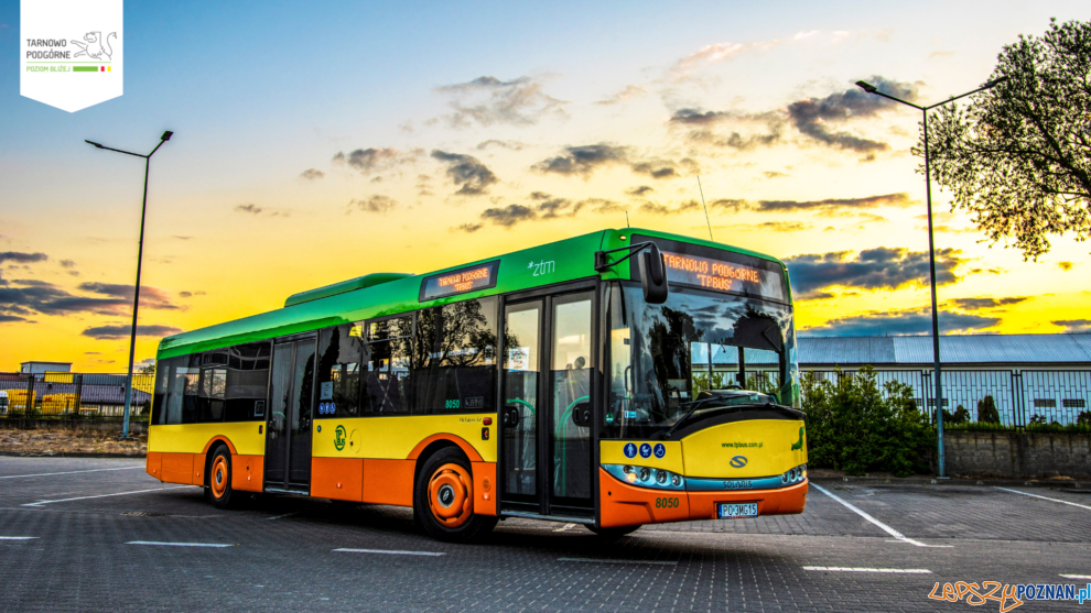 Autobus - Gmina Tarnowo Podgórne  Foto: Gmina Tarnowo Podgórne