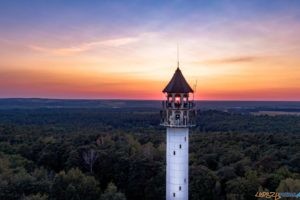 Wieża widokowa na Dziewiczej Górze  Foto: materiały prasowe / /lopuchowko.poznan.lasy.gov.pl / Dominik Maćkowiak