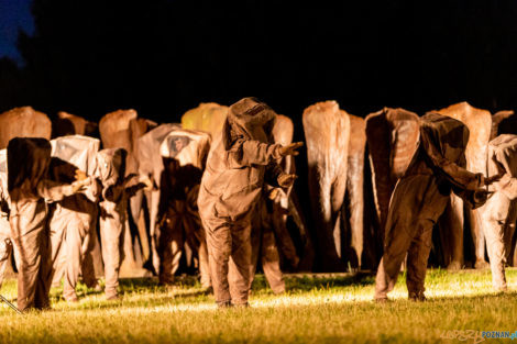 Rozpoznani Nierozpoznani - Teatr Ewolucji Cienia  Foto: lepszyPOZNAN.PL/Piotr Rychter