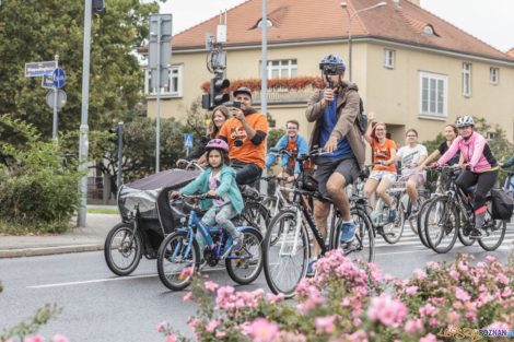 Poznań Cargo Bike Festival  Foto: lepszyPOZNAN.pl/Ewelina Jaśkowiak