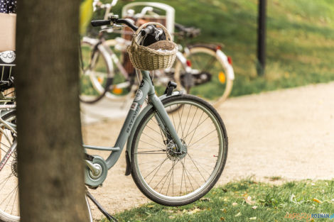 VII Tweed Ride - Szczęśliwa Siódemka 2021  Foto: lepszyPOZNAN.pl/Ewelina Jaśkowiak