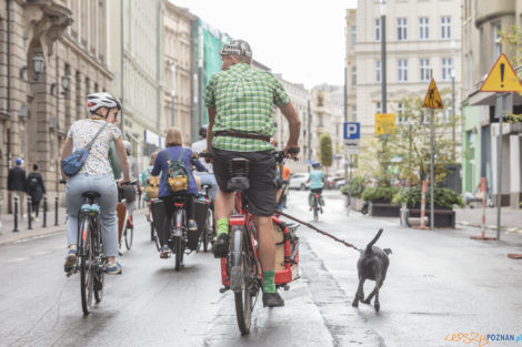 Poznań Cargo Bike Festival  Foto: lepszyPOZNAN.pl/Ewelina Jaśkowiak