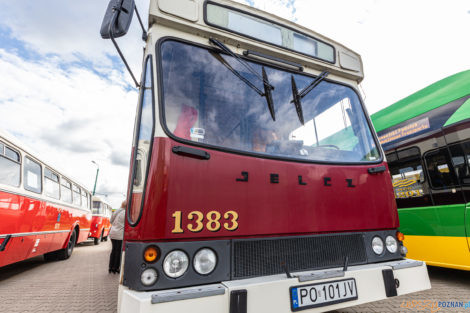 Tydzień Zrównoważonego Transportu - Franowo  Foto: lepszyPOZNAN.pl/Piotr Rychter