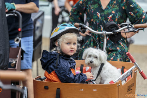 Poznań Cargo Bike Festival  Foto: lepszyPOZNAN.pl/Ewelina Jaśkowiak