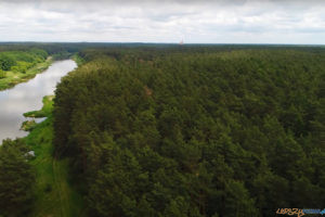 Krótki film o kąpielach leśnych  Foto: Kadr z filmu