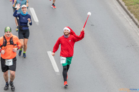 13. PKO Poznań Półmaraton  Foto: lepszyPOZNAN.pl/Piotr Rychter