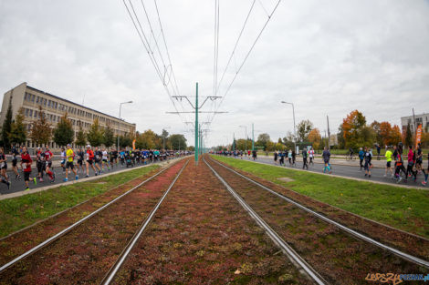 13. PKO Poznań Półmaraton  Foto: lepszyPOZNAN.pl/Piotr Rychter