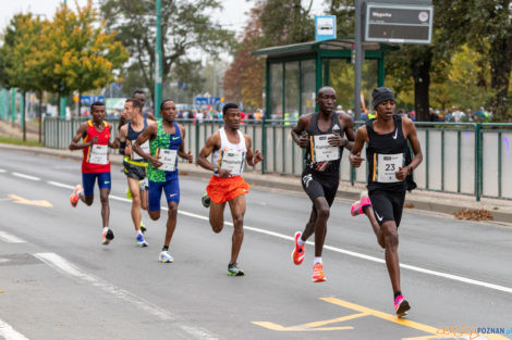 13. PKO Poznań Półmaraton  Foto: lepszyPOZNAN.pl/Piotr Rychter