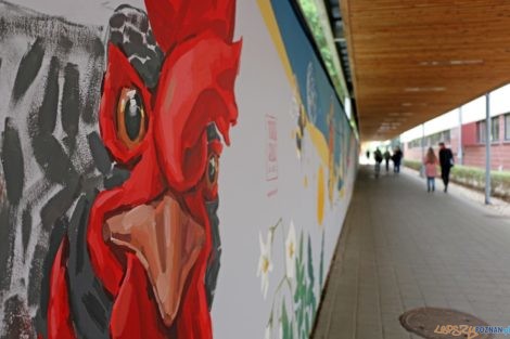 Nowy mural w Poznaniu  Foto: materiały prasowe / UEP