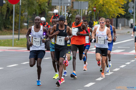 13. PKO Poznań Półmaraton  Foto: lepszyPOZNAN.pl/Piotr Rychter