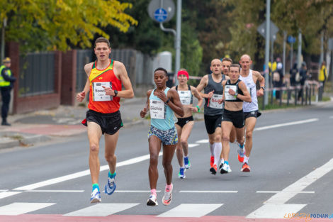 13. PKO Poznań Półmaraton  Foto: lepszyPOZNAN.pl/Piotr Rychter