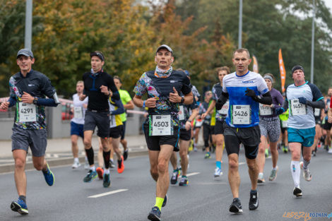 13. PKO Poznań Półmaraton  Foto: lepszyPOZNAN.pl/Piotr Rychter