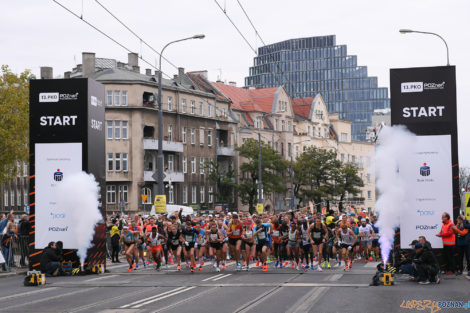 13. PKO Poznań Półmaraton  Foto: materiały prasowe / Jakub Kaczmarczyk