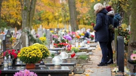 Cmentarz groby Wszystkich Swietych  Foto: wideonet - stock.adobe / Yanosik materiały prasowe