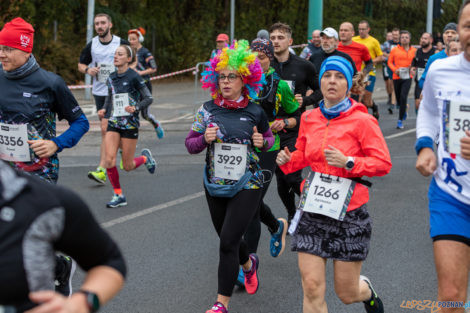 13. PKO Poznań Półmaraton  Foto: lepszyPOZNAN.pl/Piotr Rychter