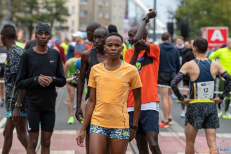 13. PKO Poznań Półmaraton  Foto: lepszyPOZNAN.pl/Piotr Rychter