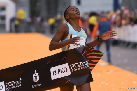 13. PKO Poznań Półmaraton  Foto: materiały prasowe / Jakub Kaczmarczyk