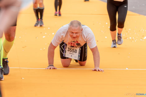 13. PKO Poznań Półmaraton  Foto: lepszyPOZNAN.pl/Piotr Rychter