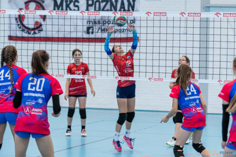 Enea Mini Cup  Foto: lepszyPOZNAN.pl/Piotr Rychter