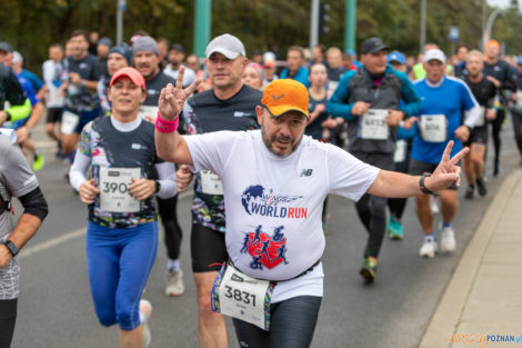 13. PKO Poznań Półmaraton  Foto: lepszyPOZNAN.pl/Piotr Rychter