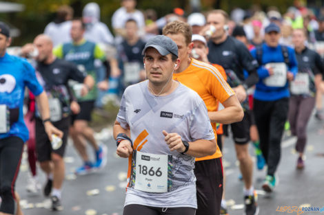 13. PKO Poznań Półmaraton  Foto: lepszyPOZNAN.pl/Piotr Rychter