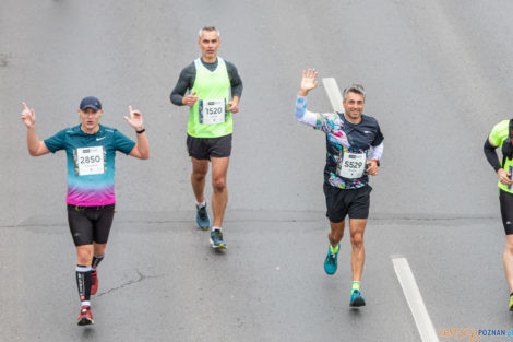 13. PKO Poznań Półmaraton  Foto: lepszyPOZNAN.pl/Piotr Rychter