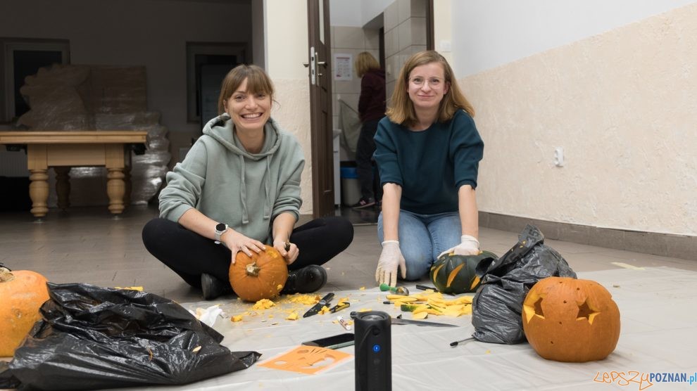 Lampiony z dyń wykonane przez Koło Gospodyń Wiejskich w Rabowicach  Foto: Małgorzata Przybylska