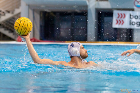 Box Logistics Waterpolo Poznań -  Arkonia Szczecin  Foto: lepszyPOZNAN.pl/Piotr Rychter