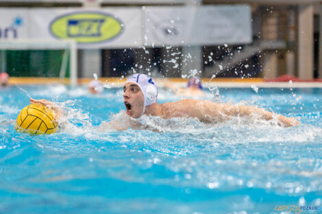 Box Logistics Waterpolo Poznań -  Arkonia Szczecin  Foto: lepszyPOZNAN.pl/Piotr Rychter