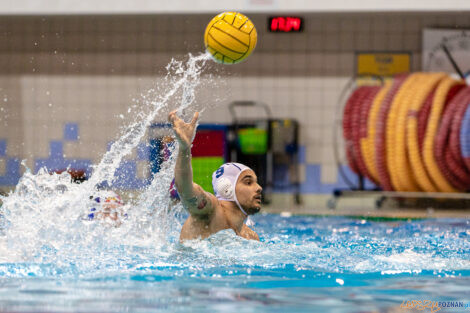 Box Logistics Waterpolo Poznań -  Arkonia Szczecin  Foto: lepszyPOZNAN.pl/Piotr Rychter