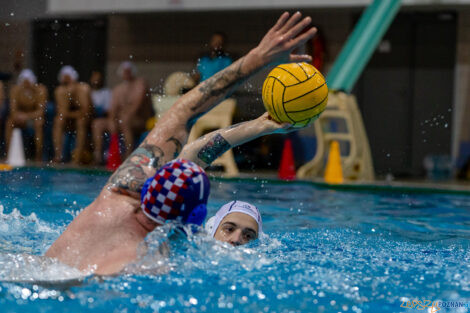 Box Logistics Waterpolo Poznań -  Arkonia Szczecin  Foto: lepszyPOZNAN.pl/Piotr Rychter