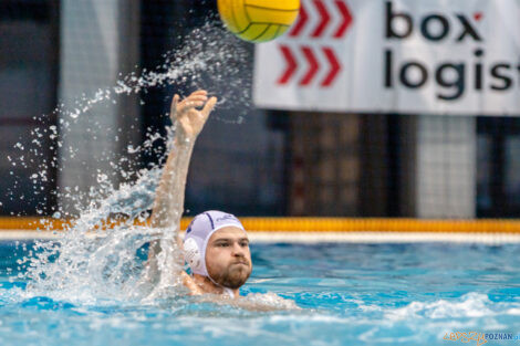 Box Logistics Waterpolo Poznań -  Arkonia Szczecin  Foto: lepszyPOZNAN.pl/Piotr Rychter