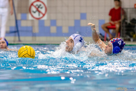 Box Logistics Waterpolo Poznań -  Arkonia Szczecin  Foto: lepszyPOZNAN.pl/Piotr Rychter