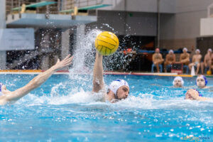 Box Logistics Waterpolo Poznań -  Arkonia Szczecin  Foto: lepszyPOZNAN.pl/Piotr Rychter