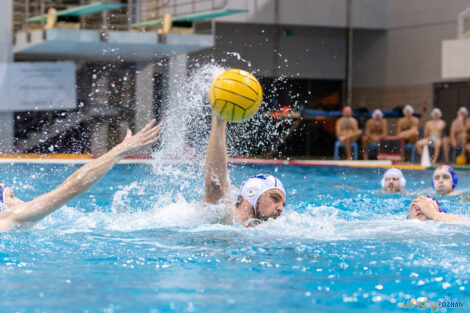 Box Logistics Waterpolo Poznań -  Arkonia Szczecin  Foto: lepszyPOZNAN.pl/Piotr Rychter